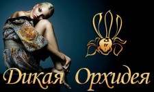 Салон Дикая Орхидея